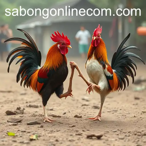 The Rise of Online Sabong in the Digital Age